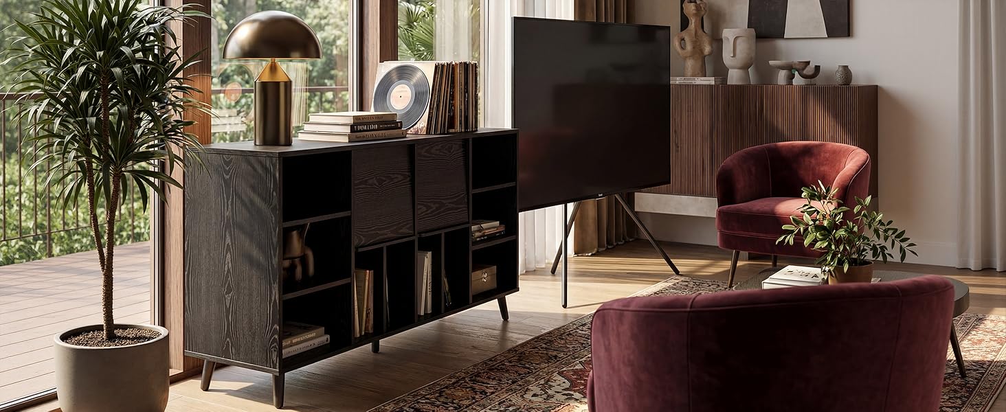 Vinyl Record Storage Cabinet